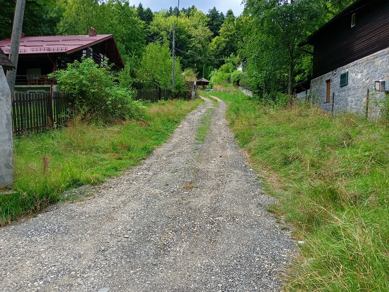 Tirul cu porumbei, Sinaia
