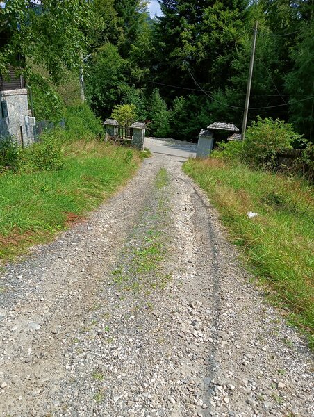 Tirul cu porumbei, Sinaia