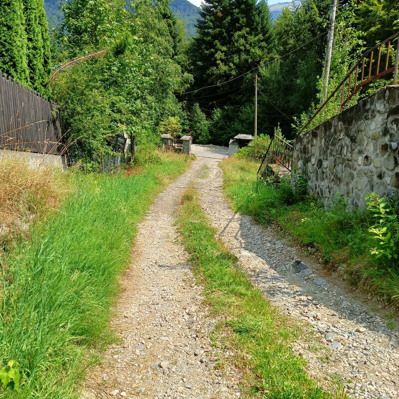 Tirul cu porumbei, Sinaia