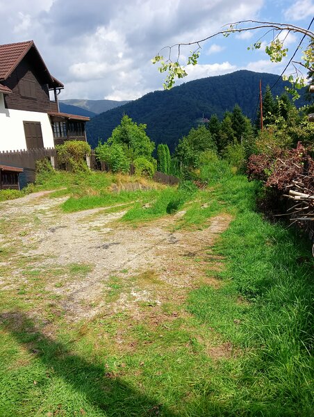 Tirul cu porumbei, Sinaia